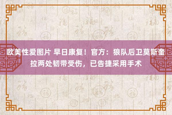 欧美性爱图片 早日康复！官方：狼队后卫莫斯奎拉两处韧带受伤，已告捷采用手术